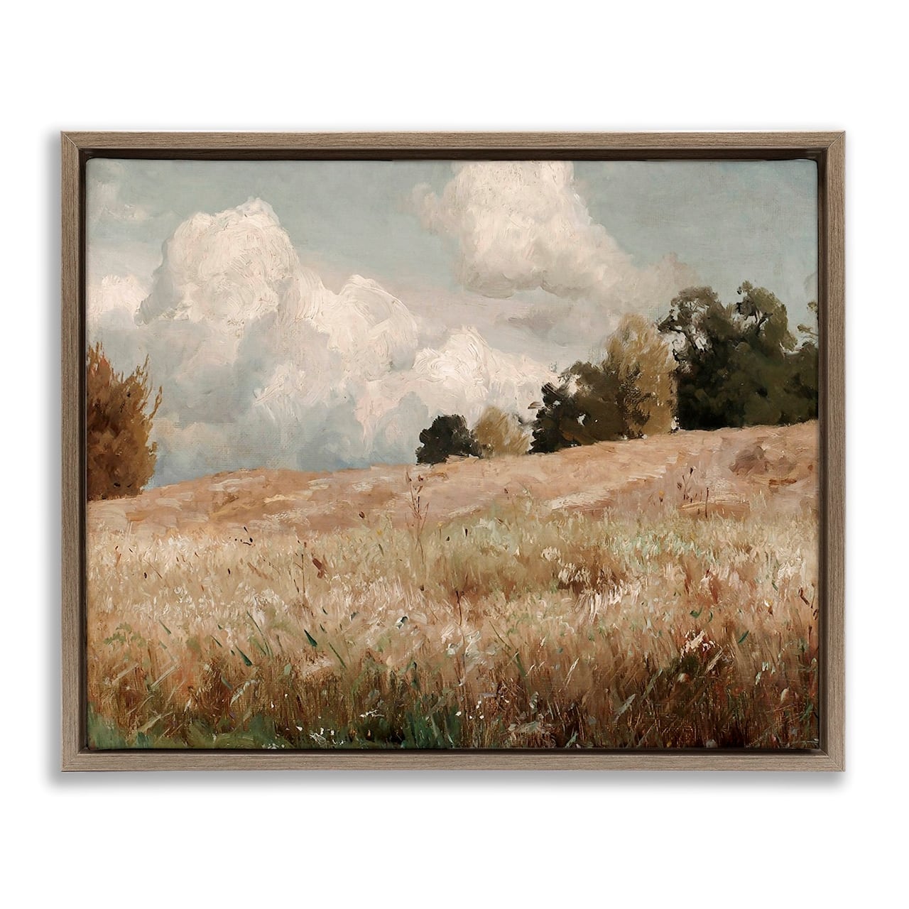 Stupell Industries Classic Cloudy Field Landscape Floater Framed Art